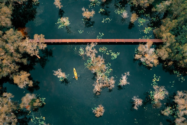 Luchtbeeld van toeristen avontuurlijke levensstijl activiteiten sport voor peddelen kajak of kano op het meer in mangrove bossen in Rayong Botanical Garden nationaal park in Thailand