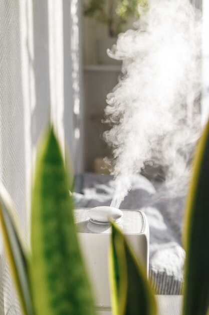 Luchtbevochtiger in het appartement tussen de planten lucht meesleuren zuivering in het stookseizoen