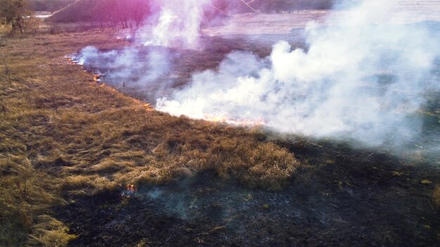 Luchtdrone uitzicht over brandend droog gras en rook in veldvlam en open vuur bovenaanzicht zwarte as f