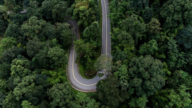 Luchtfoto asfaltweg in bergpas met groen bos Plattelandsweg die door het groene bos en de bergen loopt