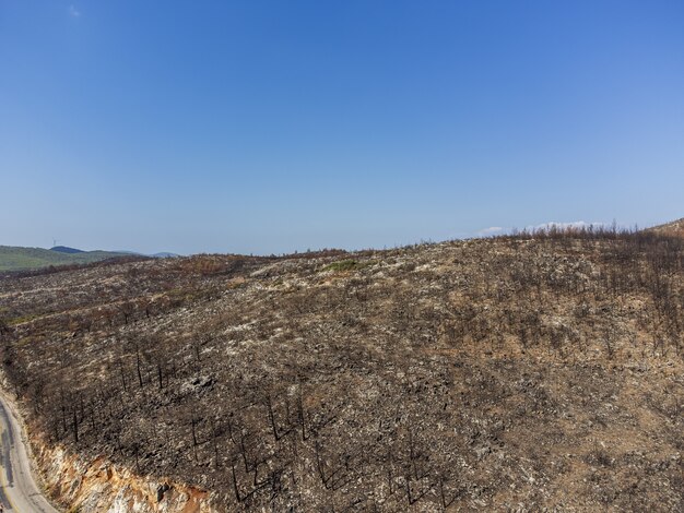 Luchtfoto bosbrand in rode dennenbossen