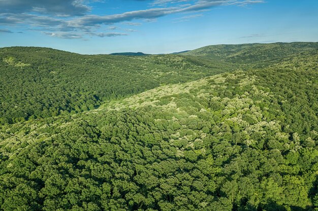 Luchtfoto boslandschap Europees bos. Prachtig berglandschap, met bergtoppen bedekt met bos.