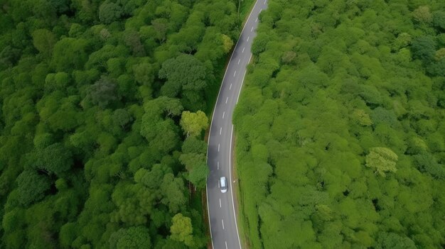 Luchtfoto bovenaanzicht bosboom met auto-ecosysteem milieuconcept Plattelandsweg die door het groene bos en de bergen loopt