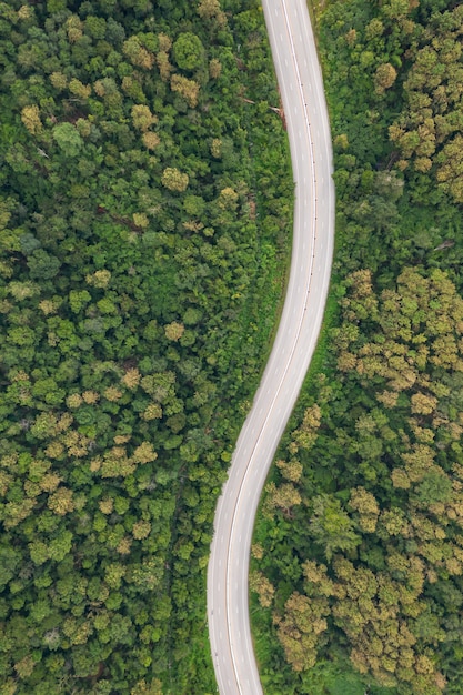 Luchtfoto bovenaanzicht van pad weg in bos, uitzicht vanaf drone