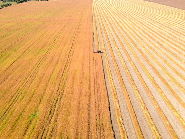 Luchtfoto drone-beeld van velden met diverse gewasgroei gebaseerd op het principe van polycultuur en permacultuur gezonde landbouwmethode van ecosysteem