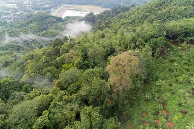 Luchtfoto drone shot van tropisch regenwoud in de bergen