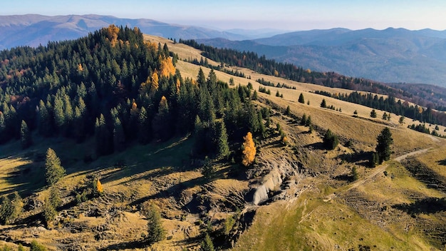 Luchtfoto drone uitzicht op de natuur in Roemenië