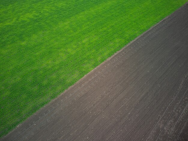 Luchtfoto drone uitzicht op een groen veld van tarwe scheuten en geploegde grond.