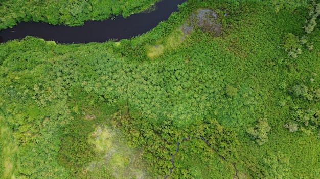 Luchtfoto drone uitzicht op groen bos en stromende rivier. mooi zomerseizoen landschap met groene bomen. rusland, regio moskou. kamperen en wandelen buitenshuis levensstijl stock photography.