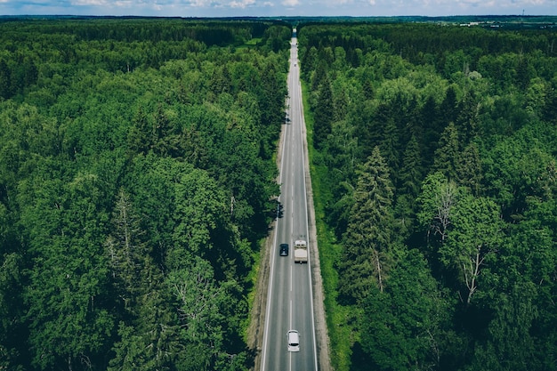 Luchtfoto drone uitzicht op groen zomerbos met landweg