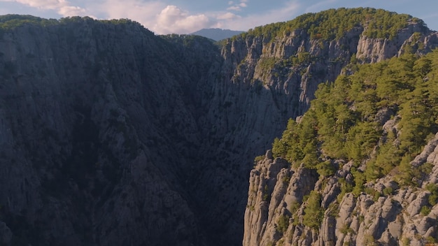 Luchtfoto drone uitzicht op grote canyon bij zonnig weer Groene bomen en grijze rotsen Berglandschap Blu sky