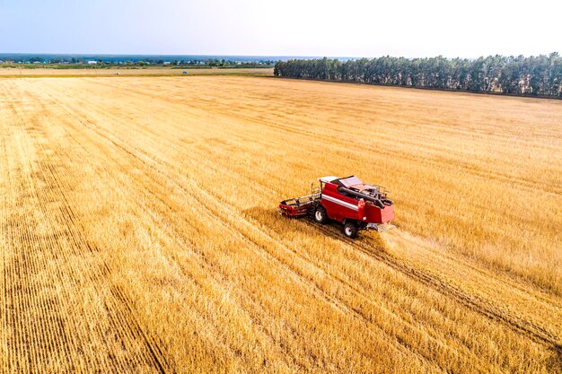 Luchtfoto drone van oogstveld met tractor maait droog gras Herfst geel veld met een hooiberg na oogst bovenaanzicht Oogsten in de velden Voorraad van hooi voor de winter Bovenaanzicht