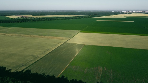 Luchtfoto drone vlucht over verschillende landbouwvelden gezaaid