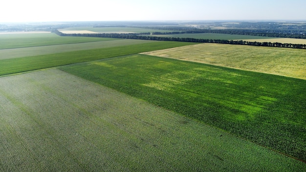 Luchtfoto drone vlucht over verschillende landbouwvelden ingezaaid met verschillende landelijke landbouwculturen. Bovenaanzicht landbouwgrond en plantages. Landschapsvelden agro-industriële cultuur. Platteland