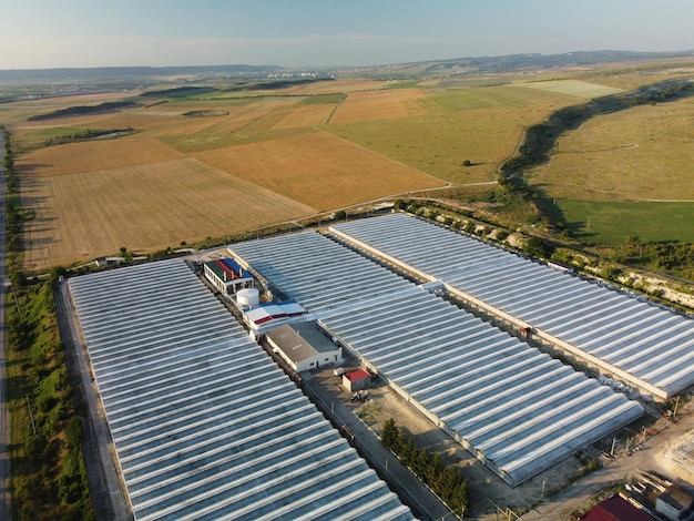 Luchtfoto drone weergave van enorme gebieden glazen kas voor het kweken van groenten kassenteelt