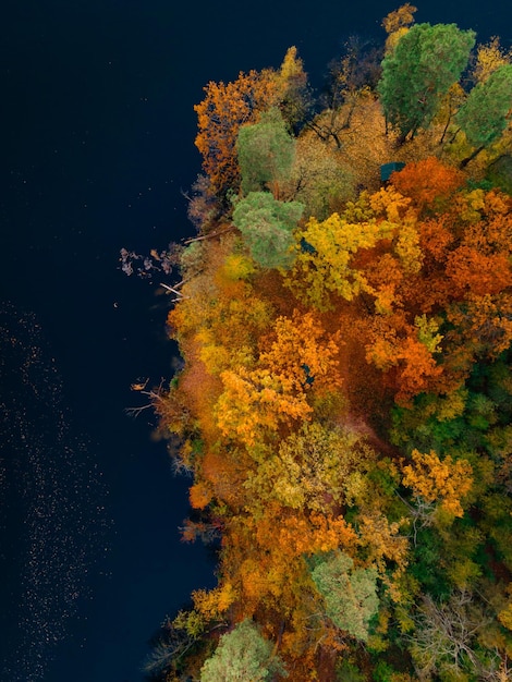 Luchtfoto Drone-weergave van kleurrijke bosbomen en meer in de herfst, Oekraïne