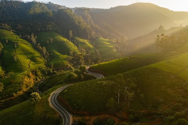 Luchtfoto drone-weergave van landschapsweg door bergen, heuvels en groene theeplantages