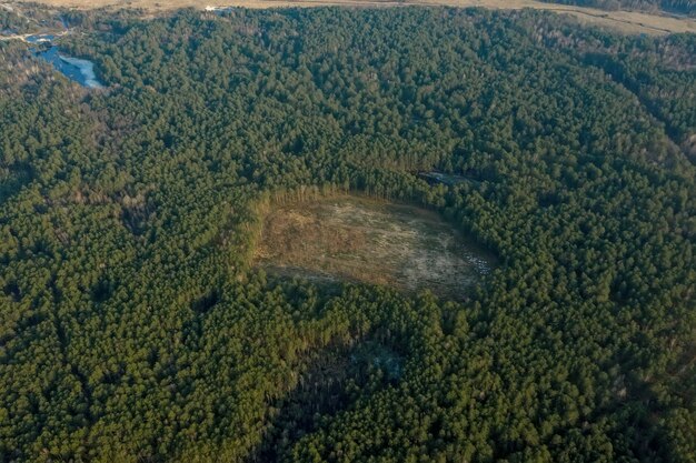 Luchtfoto drone weergave van ontbossing van een dennenbos. Ecologie concept verandering boom bos droogte en bos verfrissend.