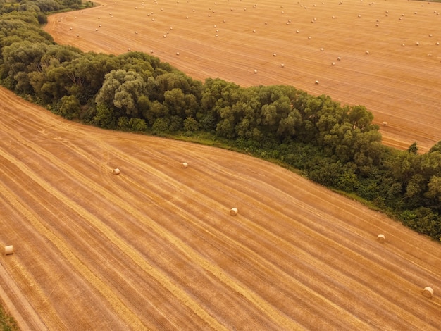 Luchtfoto gewas tarwe rollen stro in veld