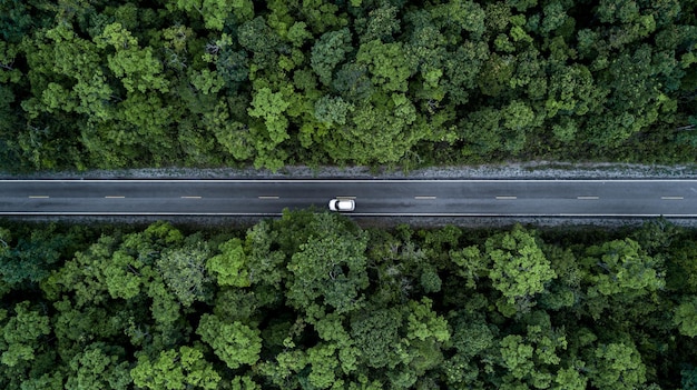 Luchtfoto groen bos en asfaltweg Bovenaanzicht bosweg door bos met auto-avontuur Ecosysteem ecologie gezonde omgeving road trip reizen