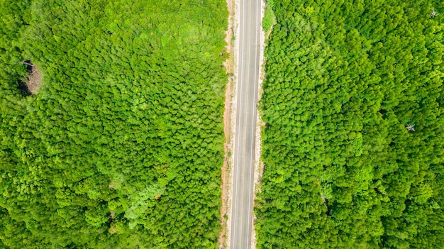 Luchtfoto landschap van boom of bos, Krabi Thailand