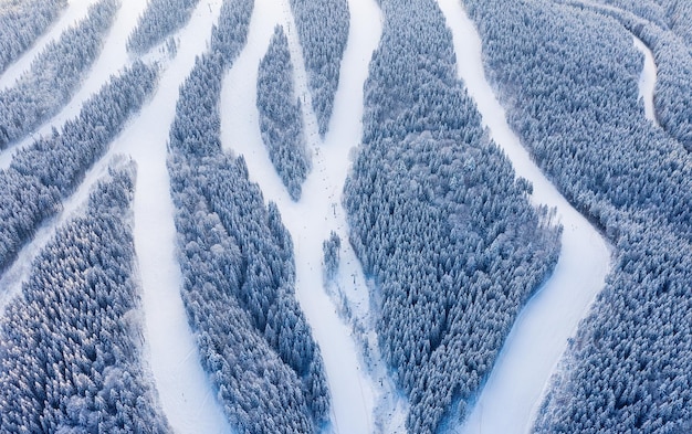 Luchtfoto op de helling in het skigebied bos en skipiste vanuit de lucht winterlandschap vanuit een drone besneeuwd landschap op het skigebied luchtfotografie