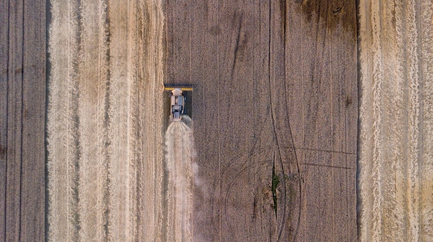 Luchtfoto op de maaidorser die werkt op het grote tarweveld