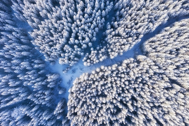 Luchtfoto op de weg en het bos in de winter Natuurlijk winterlandschap vanuit de lucht Bos onder de sneeuw in de winter Landschap vanaf drone