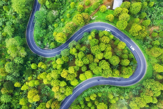 Luchtfoto op de weg in het bos Snelweg door het bos Uitzicht vanaf een drone Natuurlandschap in de zomer vanuit de lucht Reisbeeld