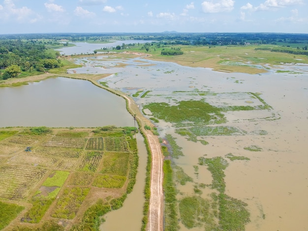 Luchtfoto op een weg in een bos op het platteland.