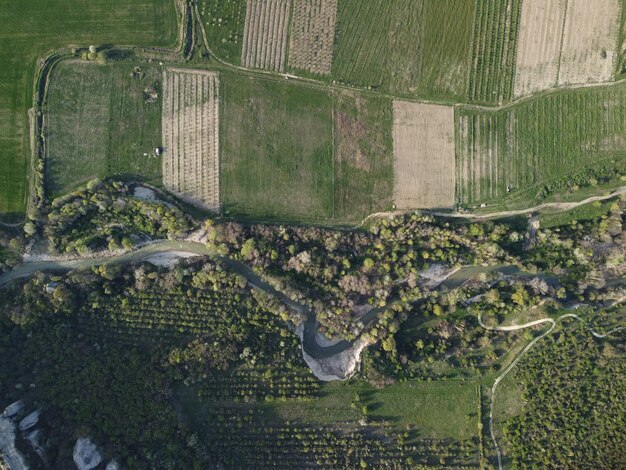 Luchtfoto op groen tarweveld op het platteland van tarwe die in de wind waait op jonge zonsondergang