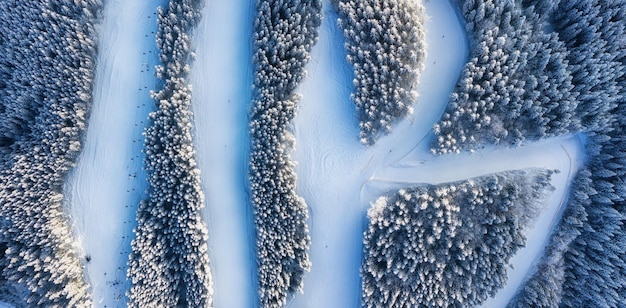 Luchtfoto op helling op skiresort Bos en skihelling vanuit de lucht Winterlandschap vanuit een drone Besneeuwde landschap op skiresort Luchtfotografie