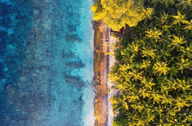 Luchtfoto op oceaan en palmen Turquoise water achtergrond van bovenaanzicht Zomer zeegezicht vanuit de lucht Bali eiland Indonesië Reizen afbeelding