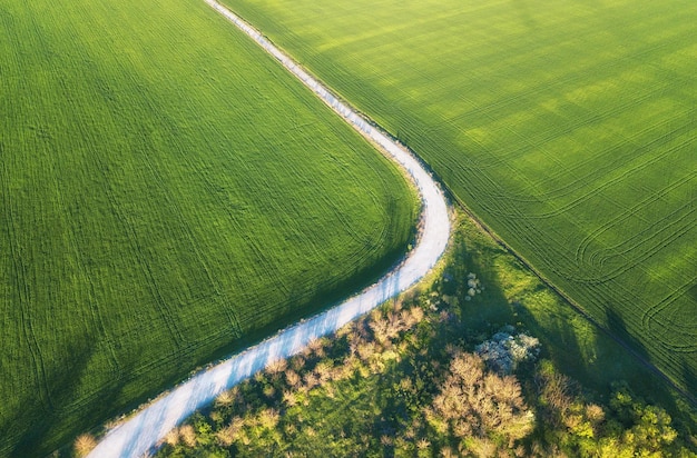 Luchtfoto op weg en veld Agrarisch landschap vanuit de lucht Veld en weg Boerderij in de zomer Dronefotografie Veld- en wegbeeld