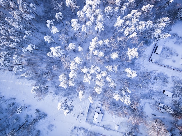 Luchtfoto op winterbos Top van de bomen in de sneeuw na zware sneeuwval Besneeuwd dorp en weg