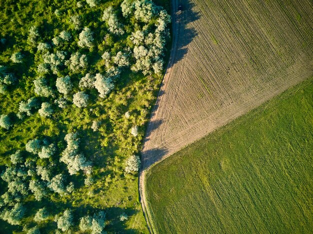 Luchtfoto over de landbouwvelden. Bovenaanzicht.