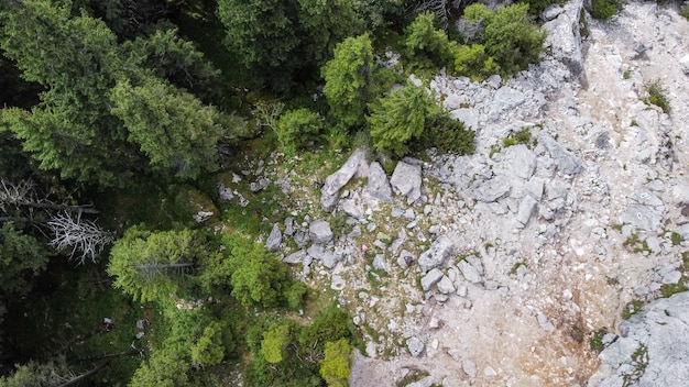 Luchtfoto over rotsen en bos in bergtoppen