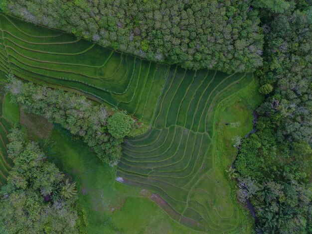 Luchtfoto prachtig ochtendzicht vanuit Indonesië over bergen en bossen