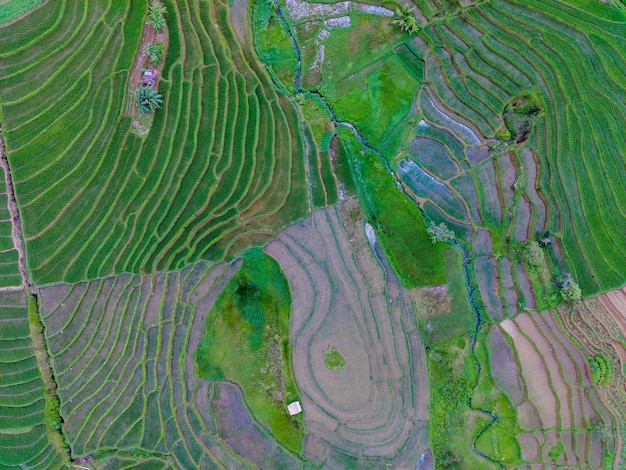 Luchtfoto prachtig ochtendzicht vanuit Indonesië over bergen en bossen