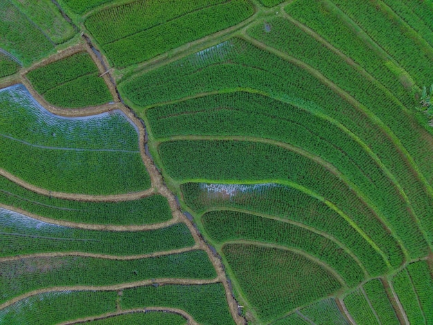 Luchtfoto prachtig ochtendzicht vanuit Indonesië over bergen en bossen