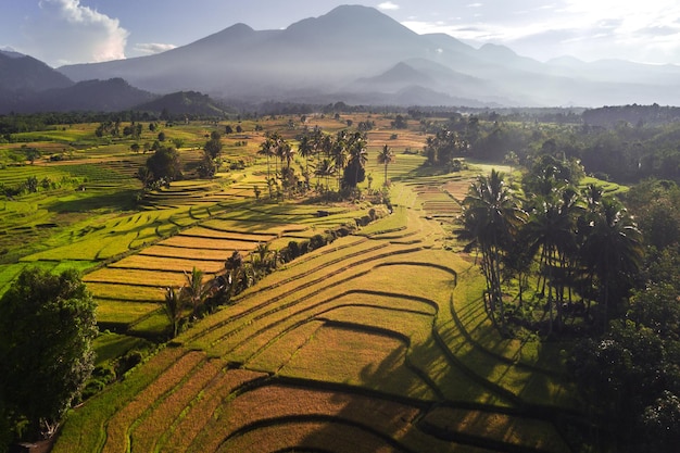 Luchtfoto prachtig ochtendzicht vanuit Indonesië over bergen en bossen