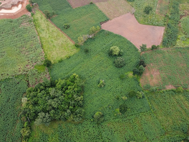 Luchtfoto's gemaakt door drones tonen het groen van landbouwgrond.