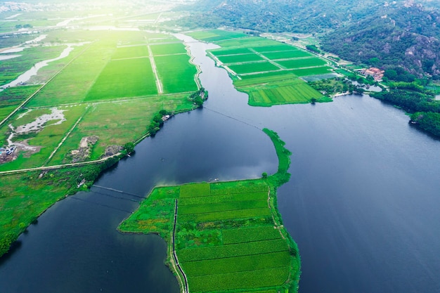 Luchtfoto's van rijstvelden