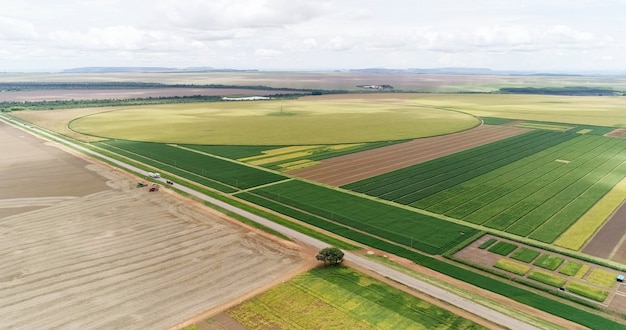 Luchtfoto's vliegen over velden met strobalen tijdens de oogsttijd Sojaboonzonnebloemen en maïs of maïs