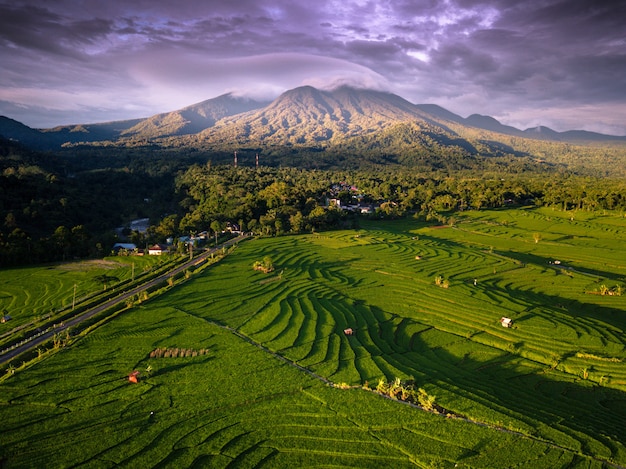Luchtfoto schoonheid landschap rijstvelden Indonesië met verbazingwekkende bergketen met blauwe hemel
