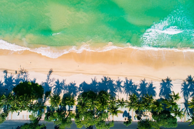 Luchtfoto top-down van Coconut palmbomen op het prachtige Patong strand Phuket Thailand Geweldige zee strand zand toeristische reisbestemming in de Andamanzee Prachtig eiland op 17-2021 september.