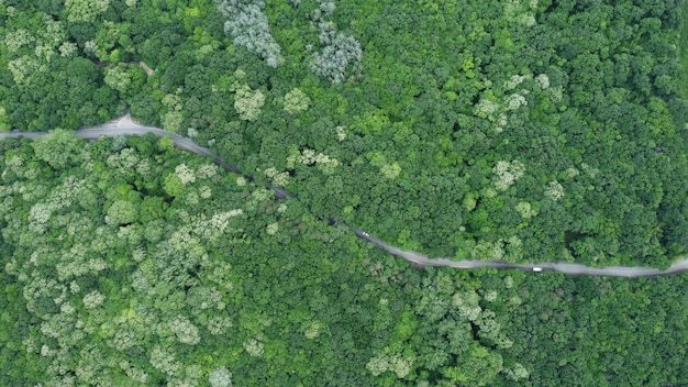 Luchtfoto uitzicht over bos met een weg door met auto