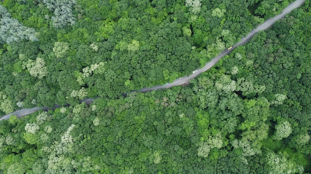 Luchtfoto uitzicht over bos met een weg door met auto