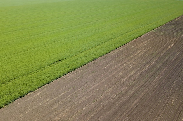 Luchtfoto uitzicht over de landbouwvelden lentetijd.