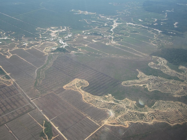 Foto luchtfoto van agrarisch landschap